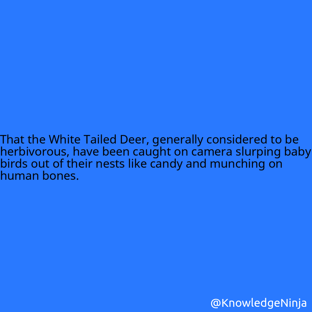 
That the White Tailed Deer, generally considered to be herbivorous, have been caught on camera slurping baby birds out of their nests like candy and munching on human bones.
