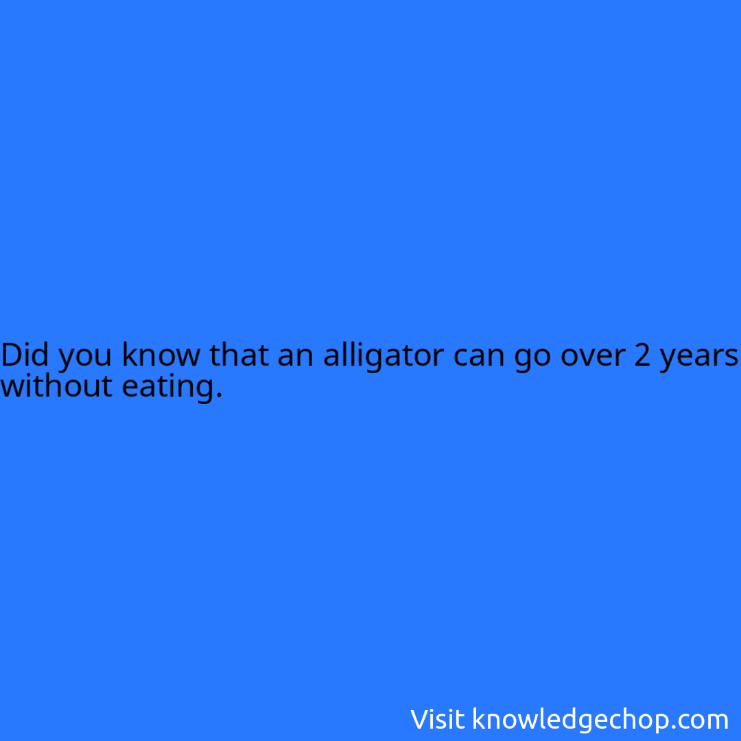 that an alligator can go over 2 years without eating.