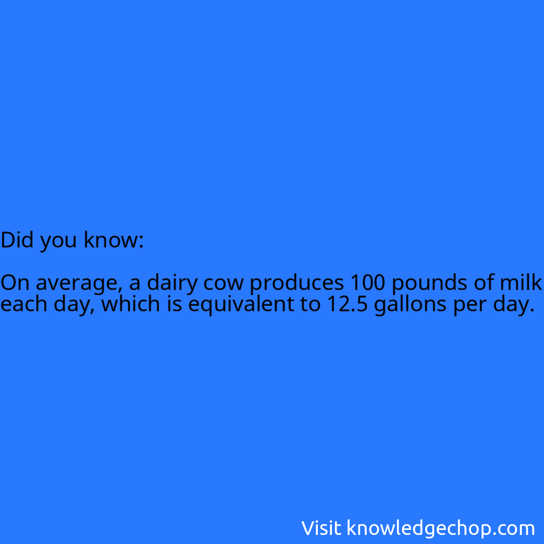   On average, a dairy cow produces 100 pounds of milk each day, which is equivalent to 12.5 gallons per day.