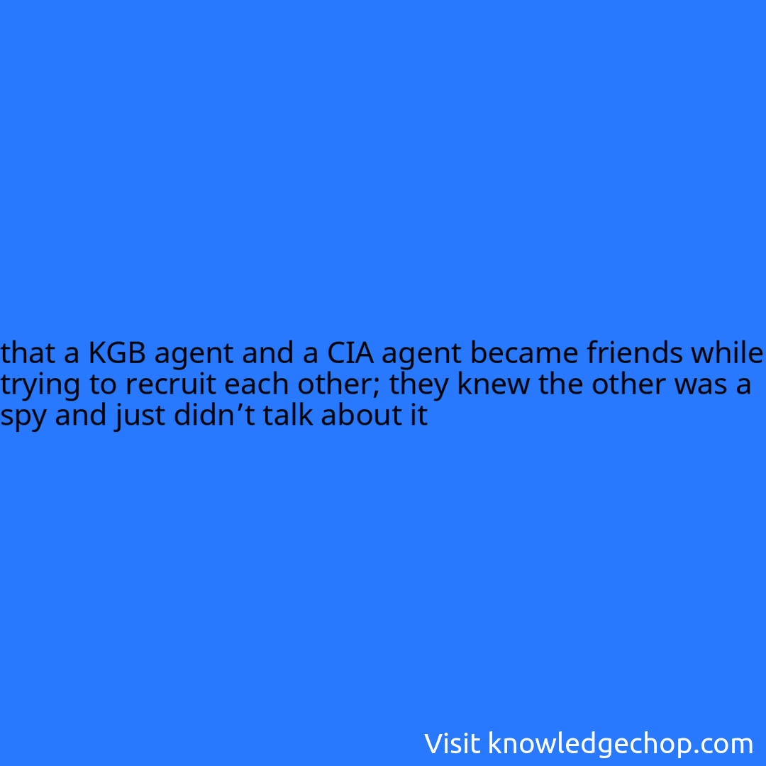 
that a KGB agent and a CIA agent became friends while trying to recruit each other; they knew the other was a spy and just didn’t talk about it