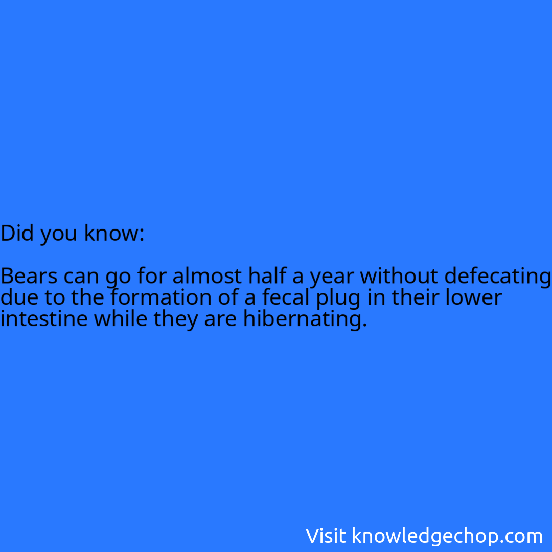   Bears can go for almost half a year without defecating due to the formation of a fecal plug in their lower intestine while they are hibernating.