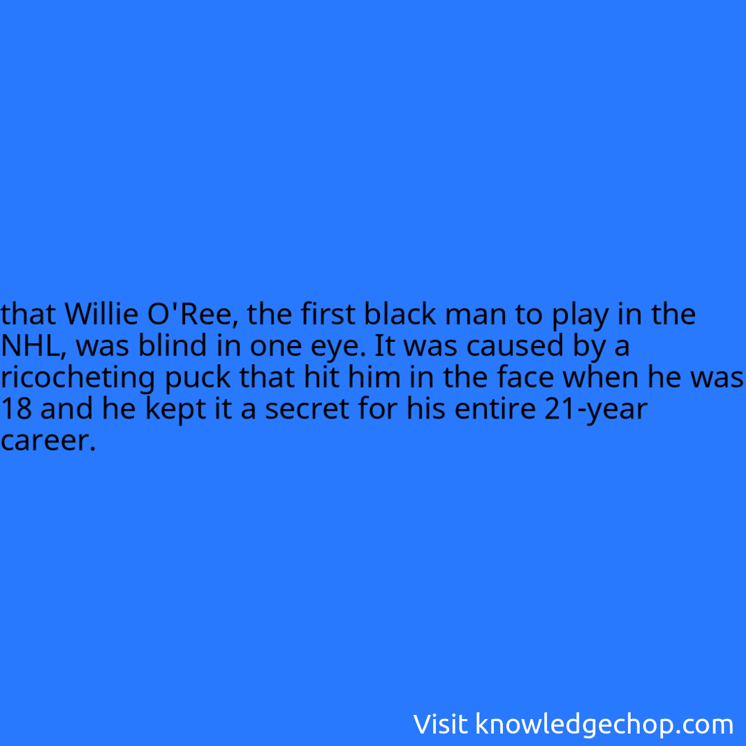 that Willie O'Ree, the first black man to play in the NHL, was blind in one eye. It was caused by a ricocheting puck that hit him in the face when he was 18 and he kept it a secret for his entire 21-year career.