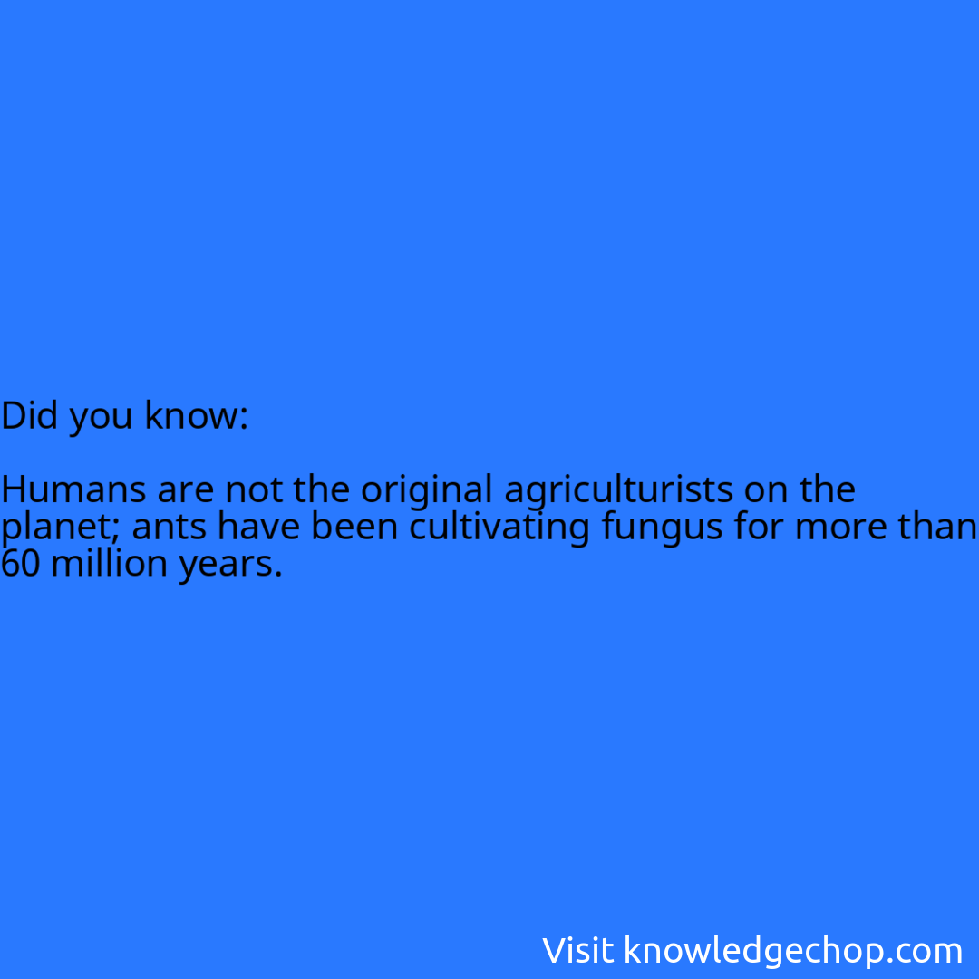   Humans are not the original agriculturists on the planet; ants have been cultivating fungus for more than 60 million years.