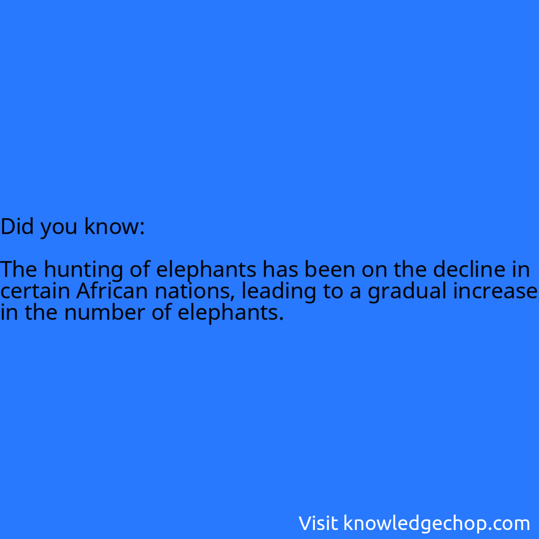   The hunting of elephants has been on the decline in certain African nations, leading to a gradual increase in the number of elephants.