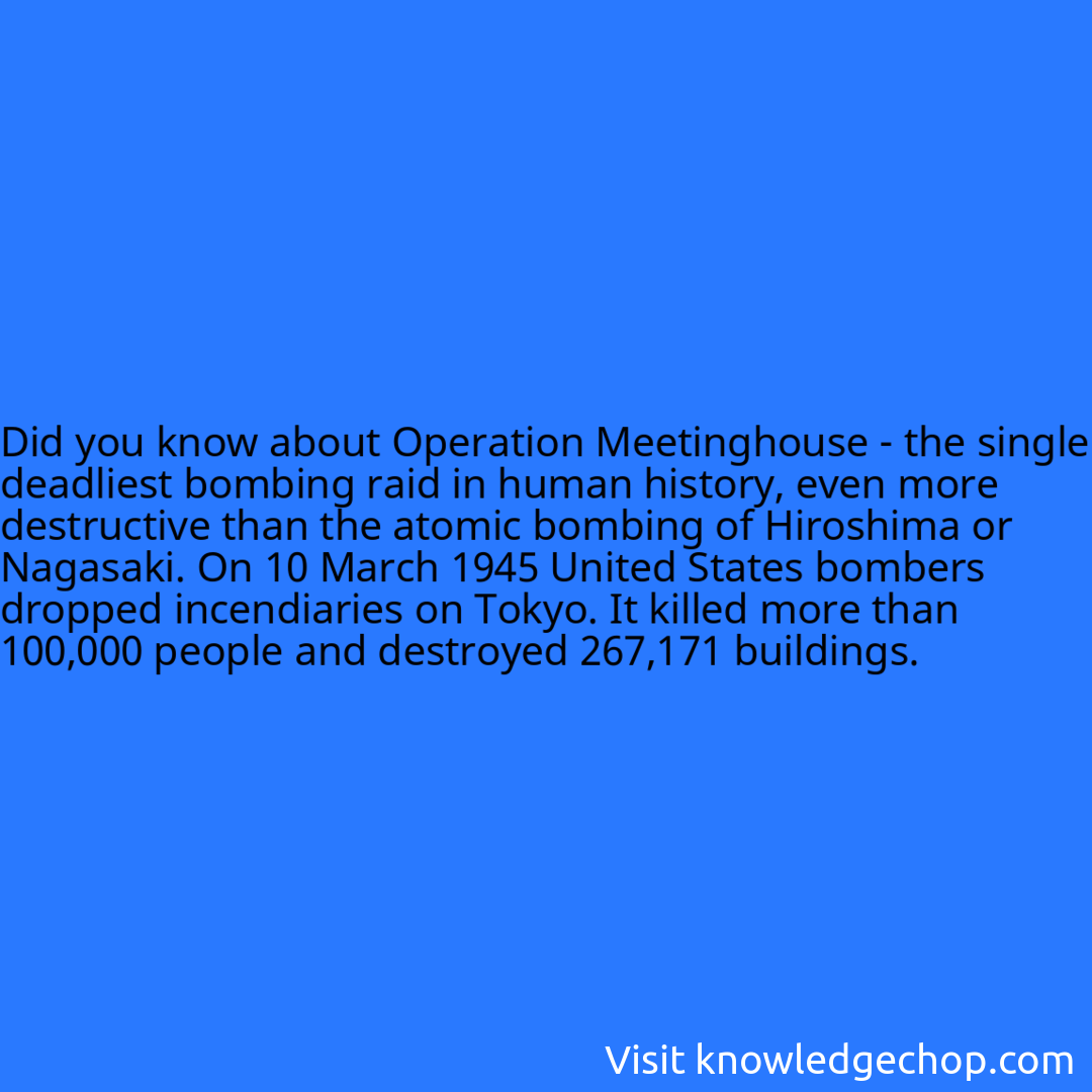 about Operation Meetinghouse - the single deadliest bombing raid in human history, even more destructive than the atomic bombing of Hiroshima or Nagasaki. On 10 March 1945 United States bombers dropped incendiaries on Tokyo. It killed more than 100,000 people and destroyed 267,171 buildings.