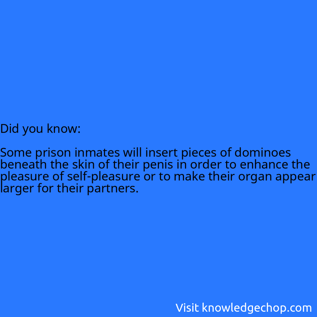   Some prison inmates will insert pieces of dominoes beneath the skin of their penis in order to enhance the pleasure of self-pleasure or to make their organ appear larger for their partners.
