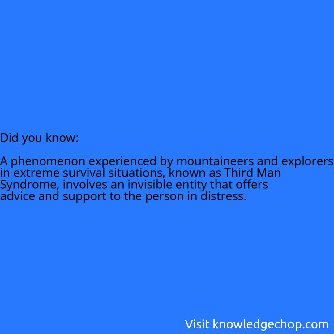   A phenomenon experienced by mountaineers and explorers in extreme survival situations, known as Third Man Syndrome, involves an invisible entity that offers advice and support to the person in distress.