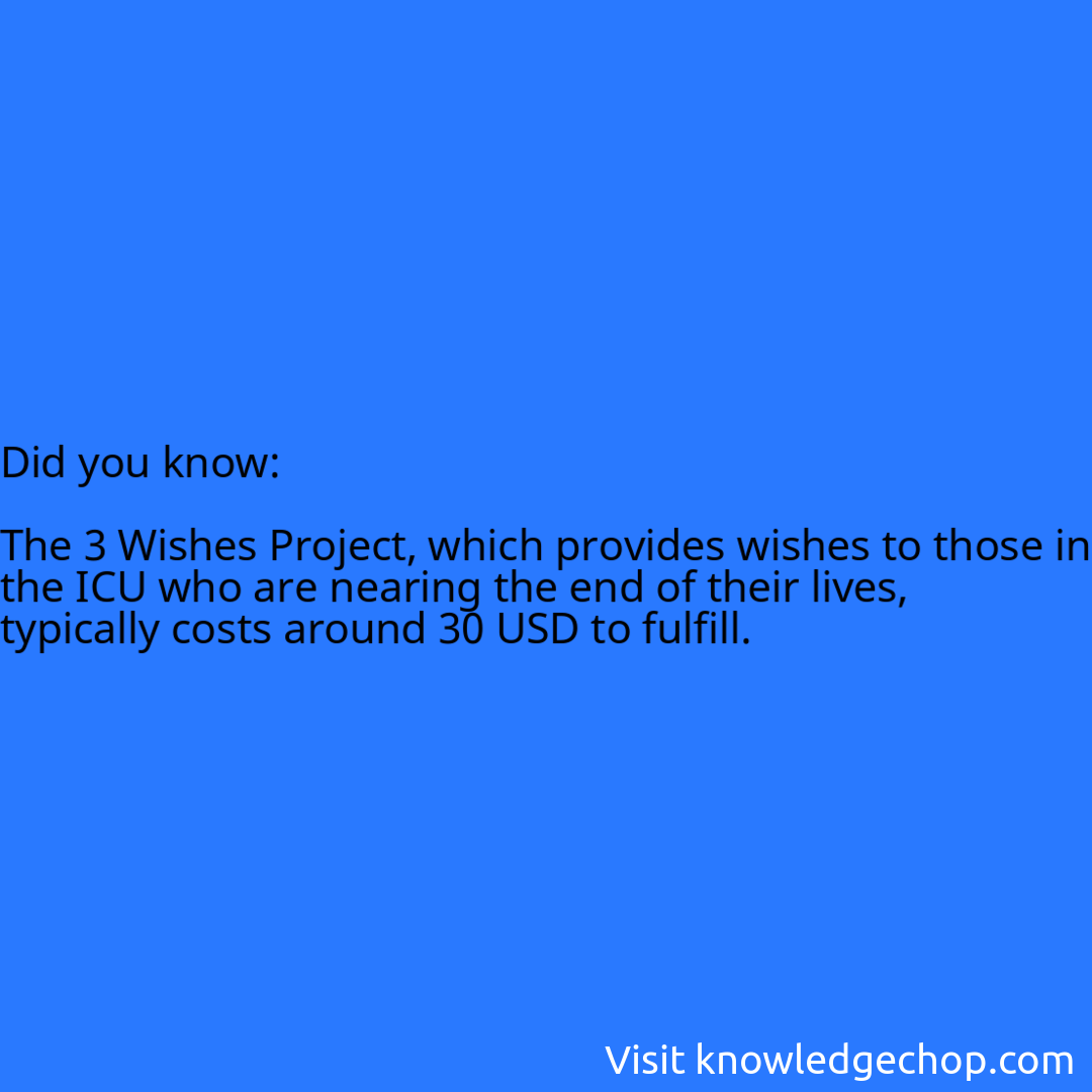   The 3 Wishes Project, which provides wishes to those in the ICU who are nearing the end of their lives, typically costs around 30 USD to fulfill.