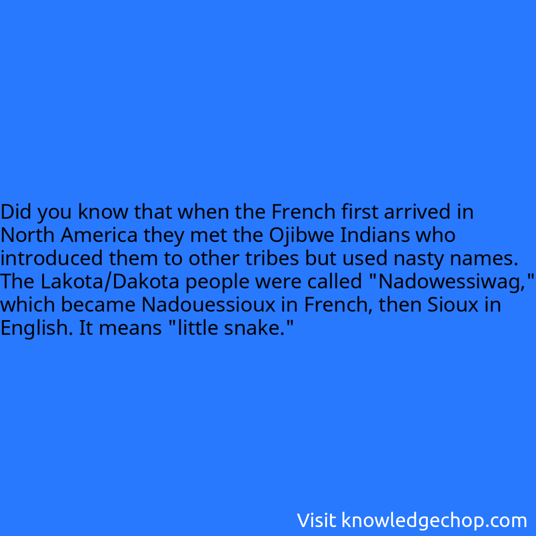 that when the French first arrived in North America they met the Ojibwe Indians who introduced