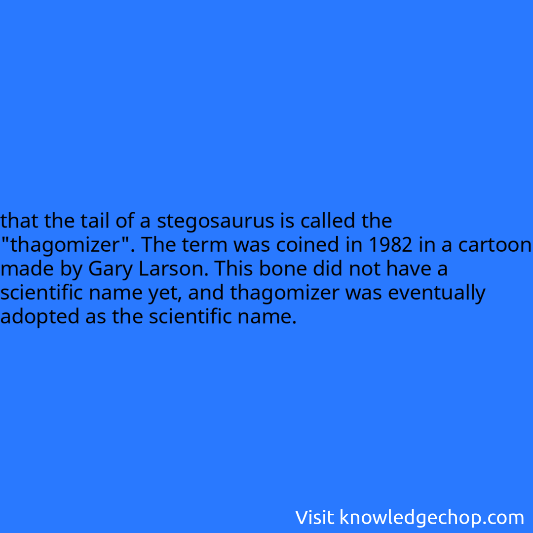 that the tail of a stegosaurus is called the 