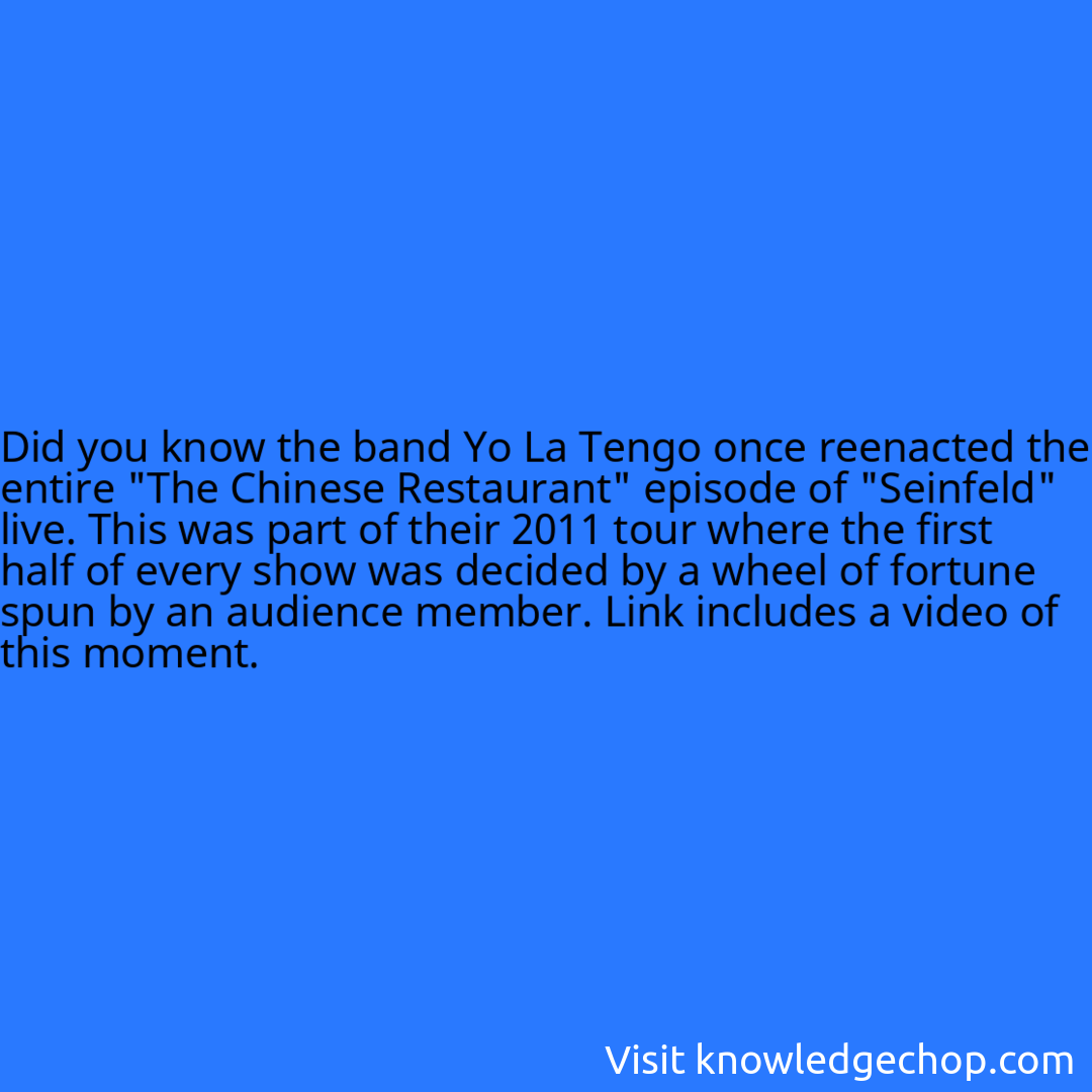 the band Yo La Tengo once reenacted the entire 