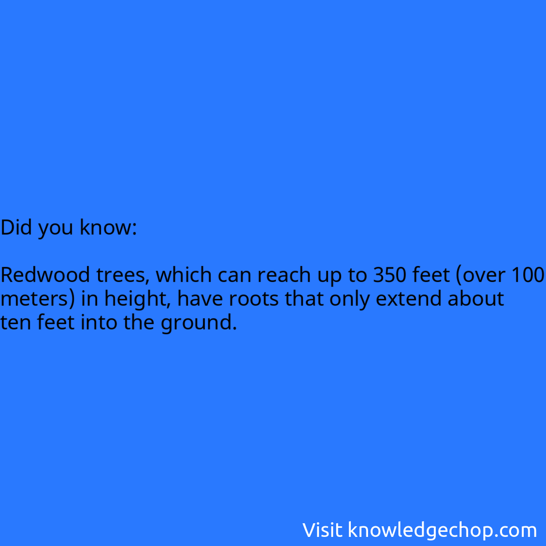   Redwood trees, which can reach up to 350 feet (over 100 meters) in height, have roots that only extend about ten feet into the ground.