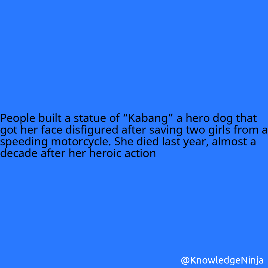 
People built a statue of “Kabang” a hero dog that got her face disfigured after saving two girls from a speeding motorcycle. She died last year, almost a decade after her heroic action