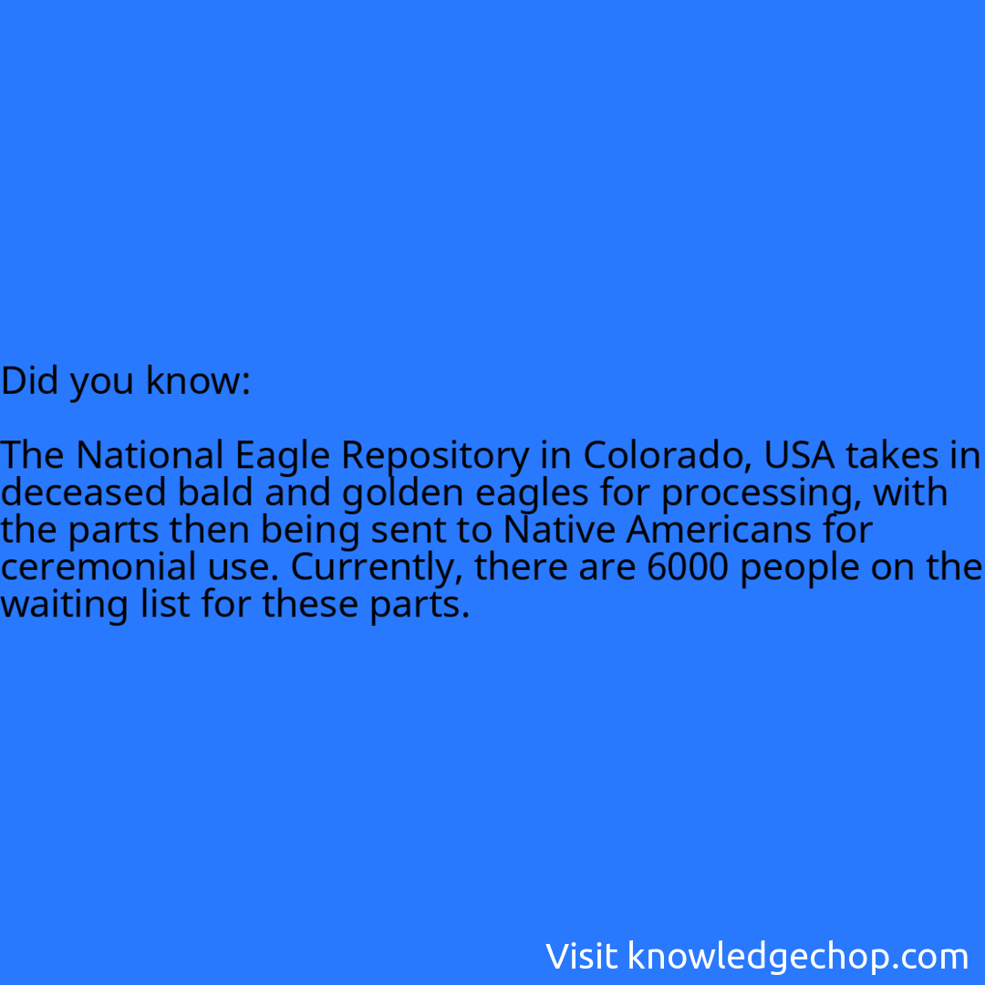   The National Eagle Repository in Colorado, USA takes in deceased bald and golden eagles for processing, with the parts then being sent to Native Americans for ceremonial use. Currently, there are 6000 people on the waiting list for these parts.
