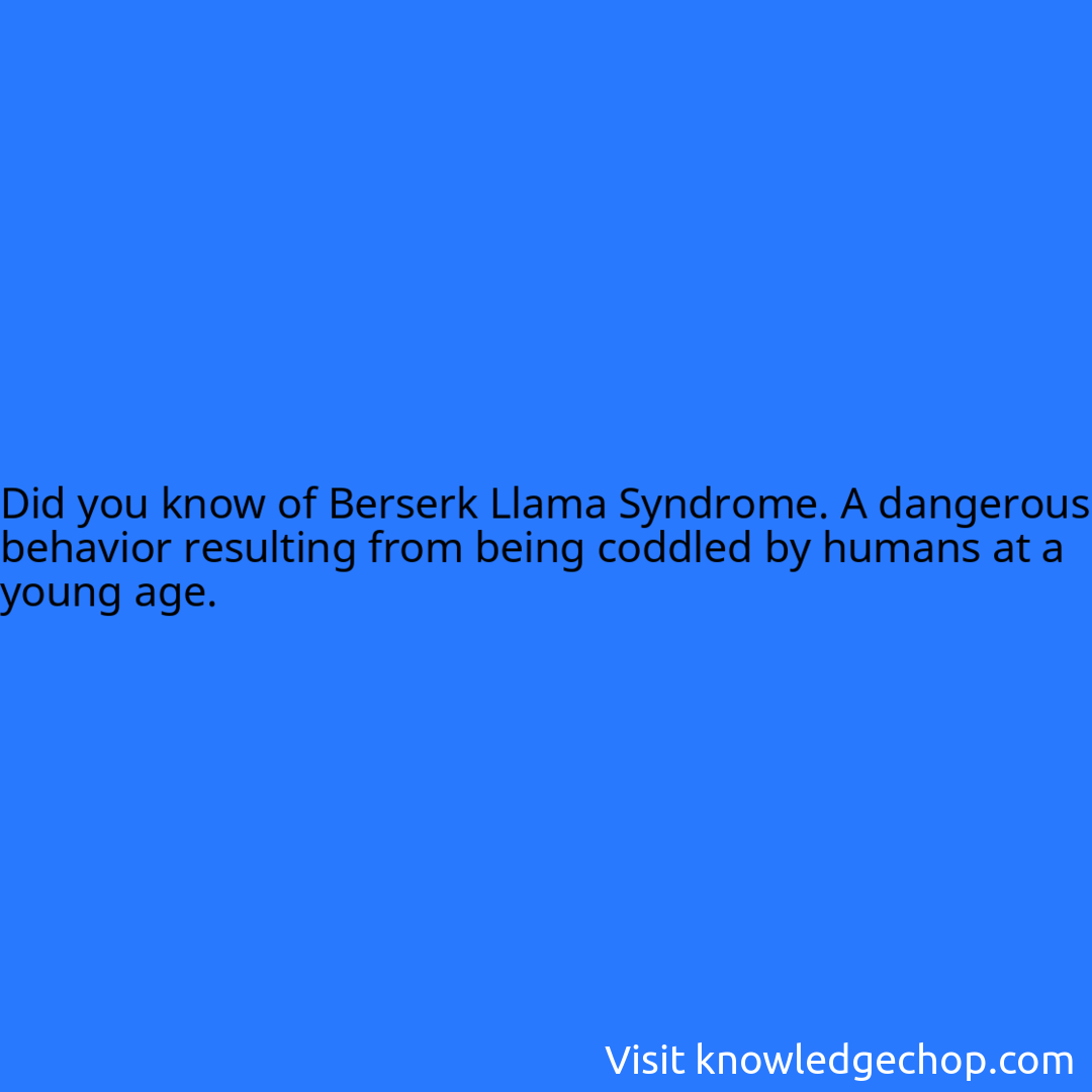 of Berserk Llama Syndrome. A dangerous behavior resulting from being