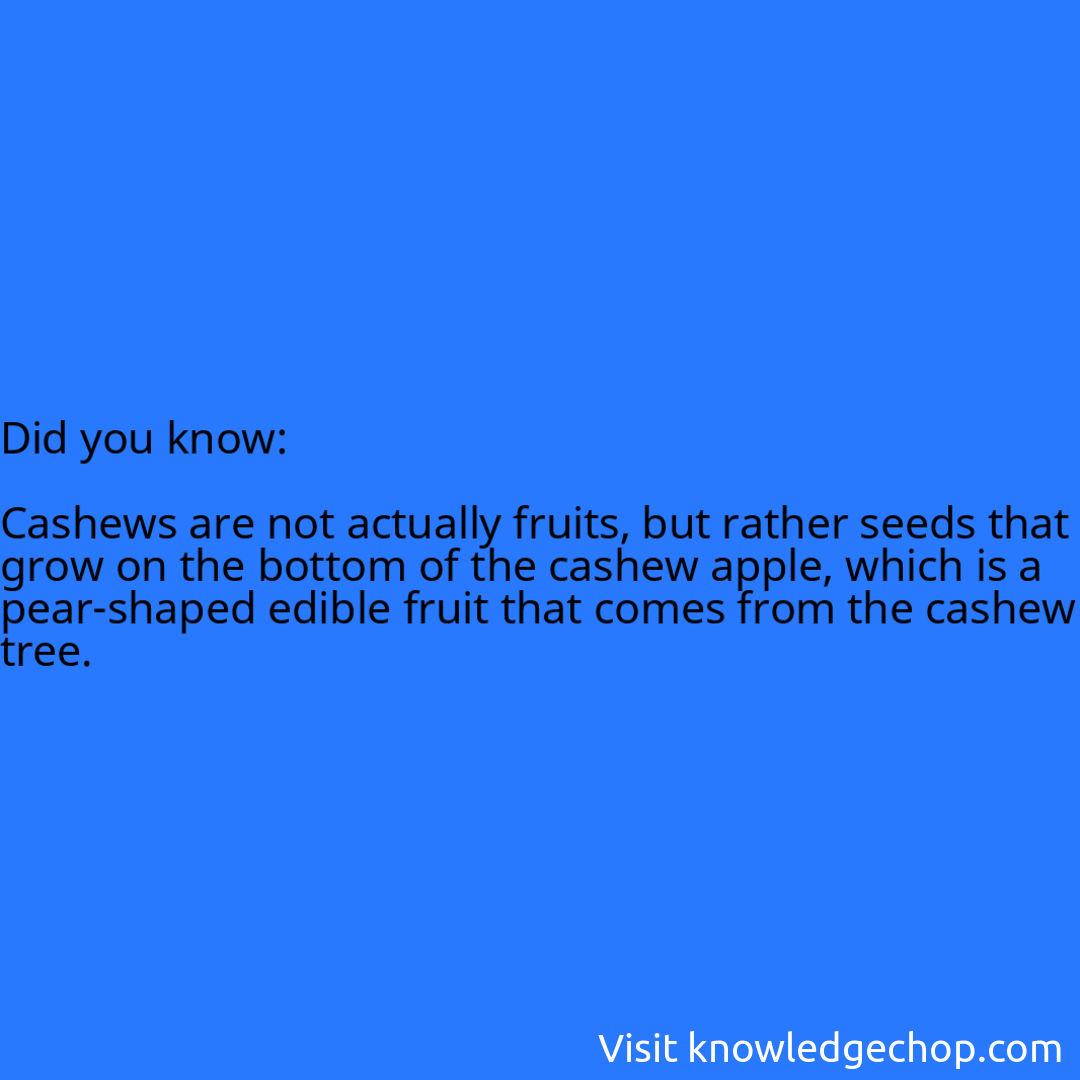   Cashews are not actually fruits, but rather seeds that grow on the bottom of the cashew apple, which is a pear-shaped edible fruit that comes from the cashew tree.