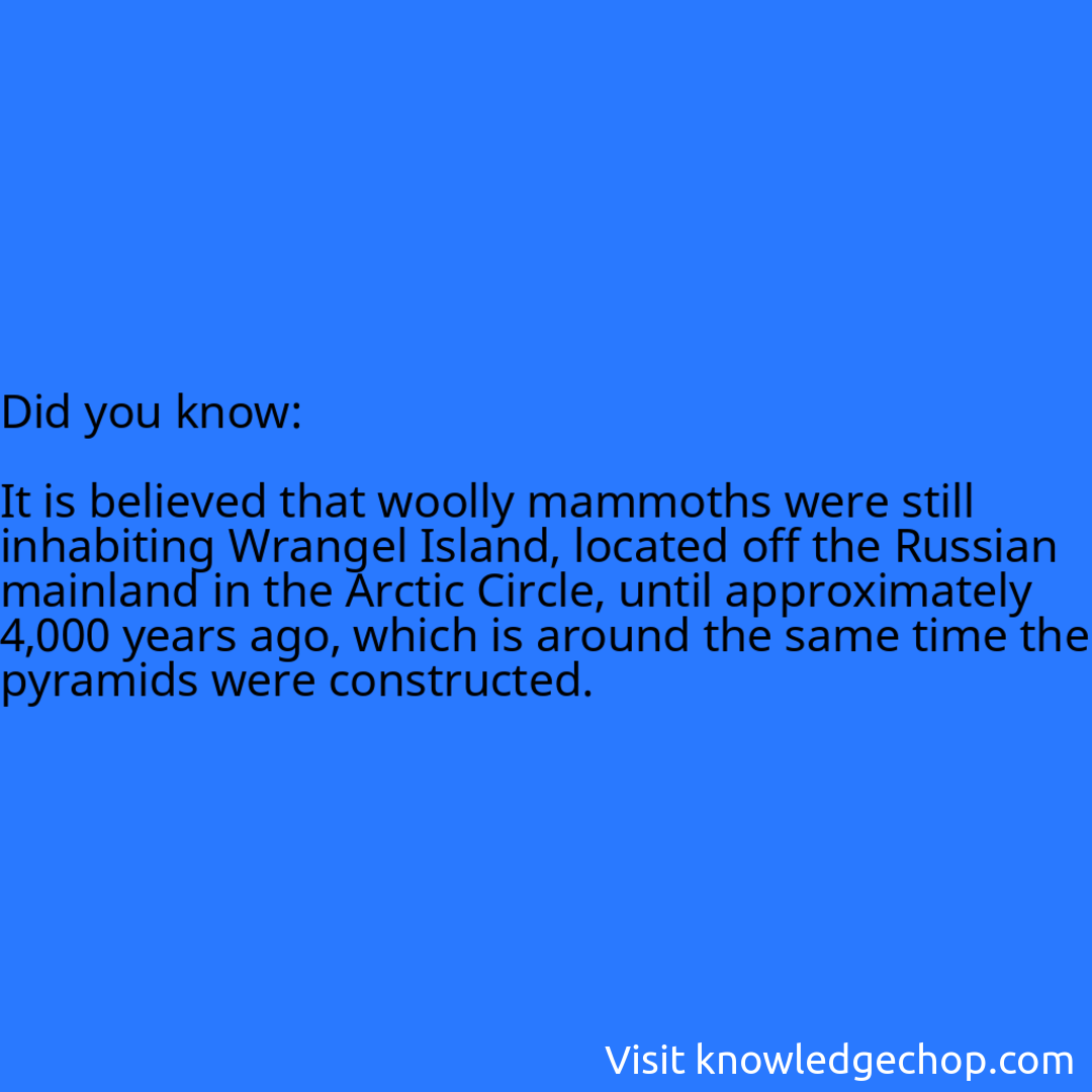   It is believed that woolly mammoths were still inhabiting Wrangel Island, located off the Russian mainland in the Arctic Circle, until approximately 4,000 years ago, which is around the same time the pyramids were constructed.