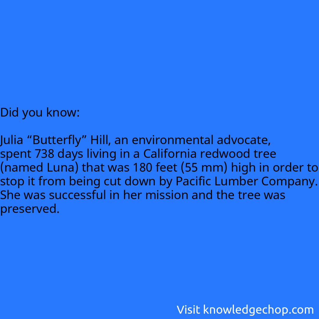   Julia “Butterfly” Hill, an environmental advocate, spent 738 days living in a California redwood tree (named Luna) that was 180 feet (55 mm) high in order to stop it from being cut down by Pacific Lumber Company. She was successful in her mission and the tree was preserved.