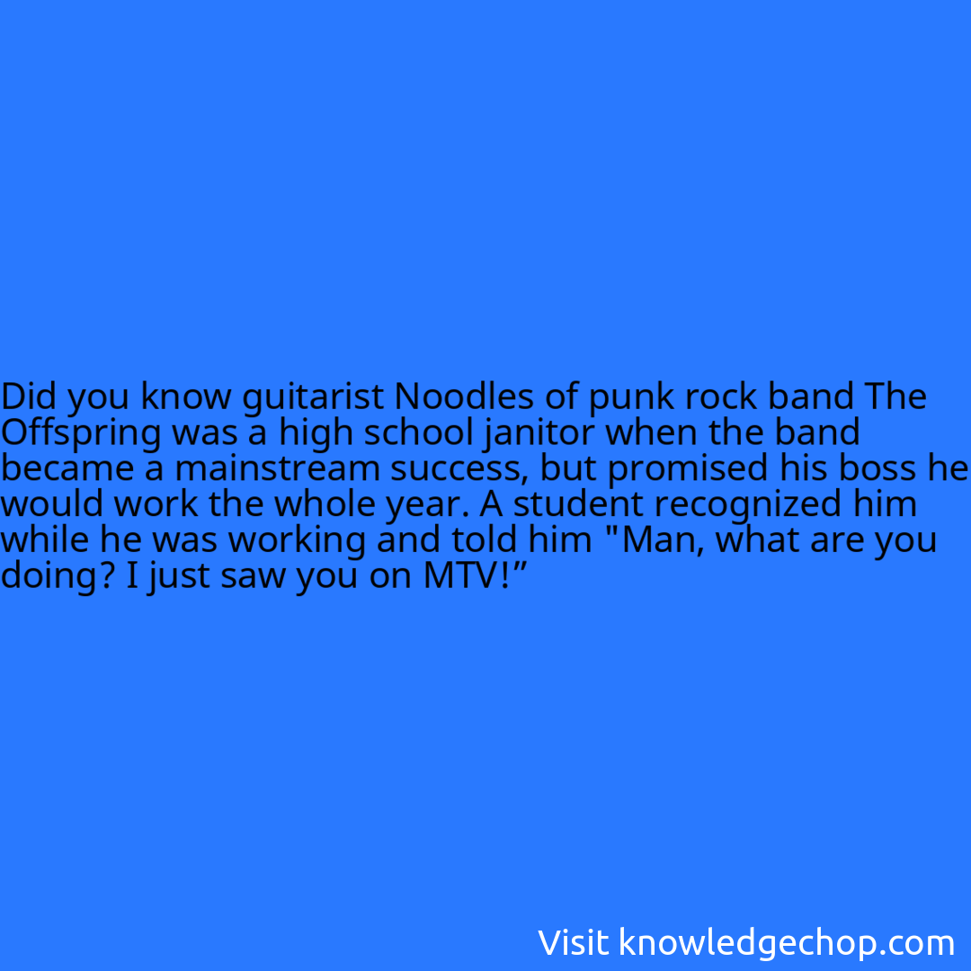 guitarist Noodles of punk rock band The Offspring was a high school