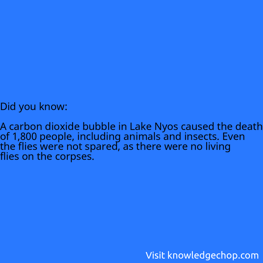   A carbon dioxide bubble in Lake Nyos caused the death of 1,800 people, including animals and insects. Even the flies were not spared, as there were no living flies on the corpses.
