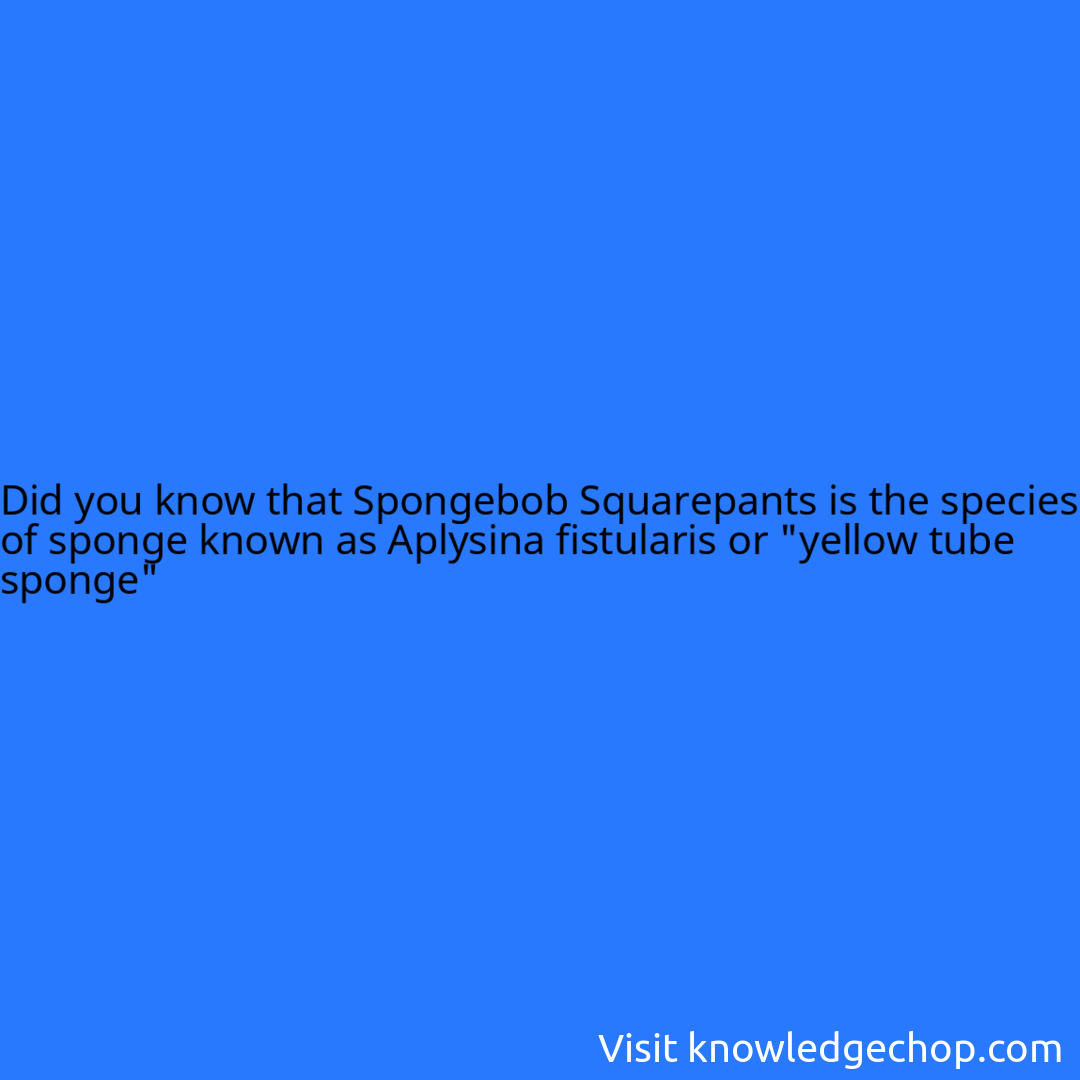 that Spongebob Squarepants is the species of sponge known as Aplysina fistularis or 