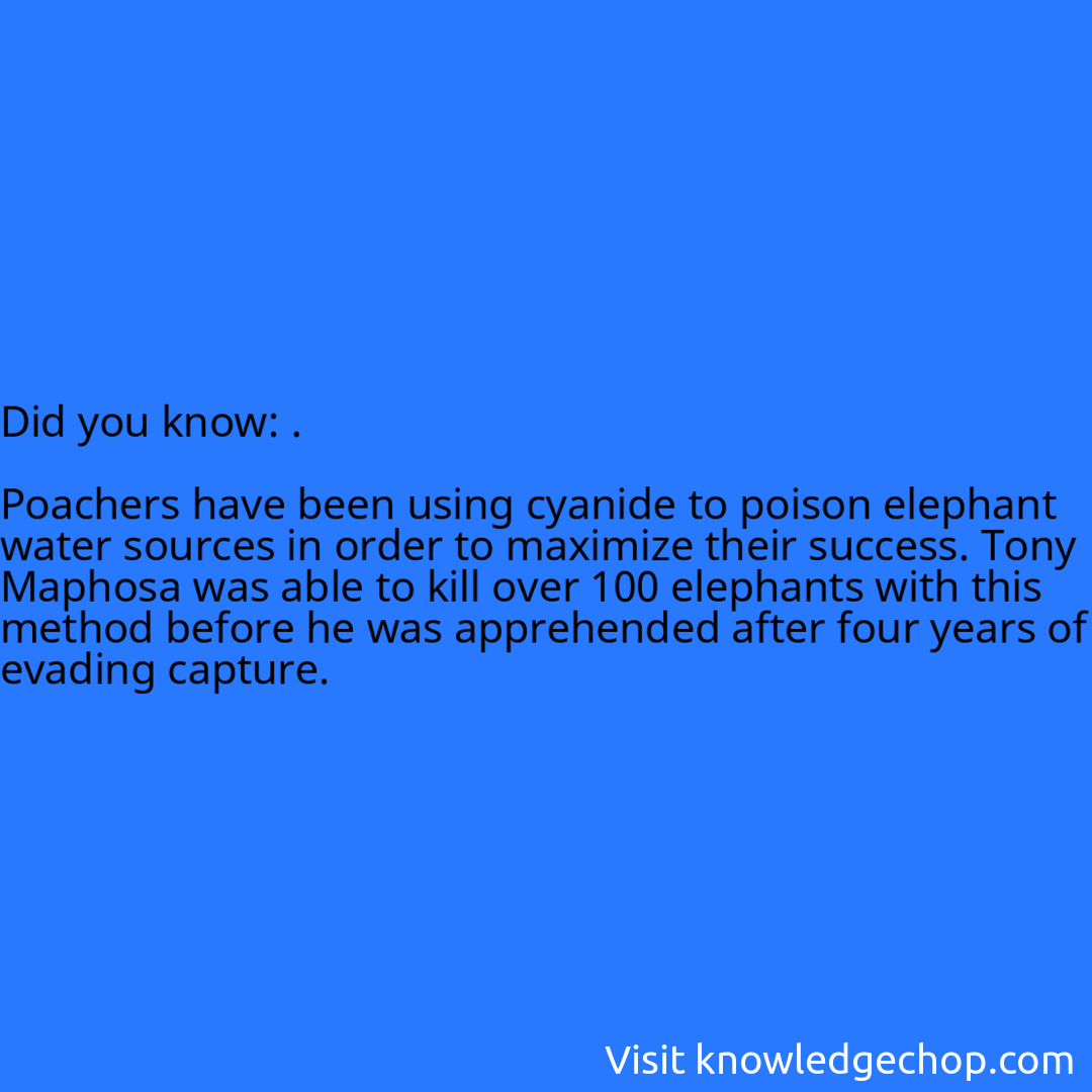 .  Poachers have been using cyanide to poison elephant water sources in order to maximize their success. Tony Maphosa was able to kill over 100 elephants with this method before he was apprehended after four years of evading capture.