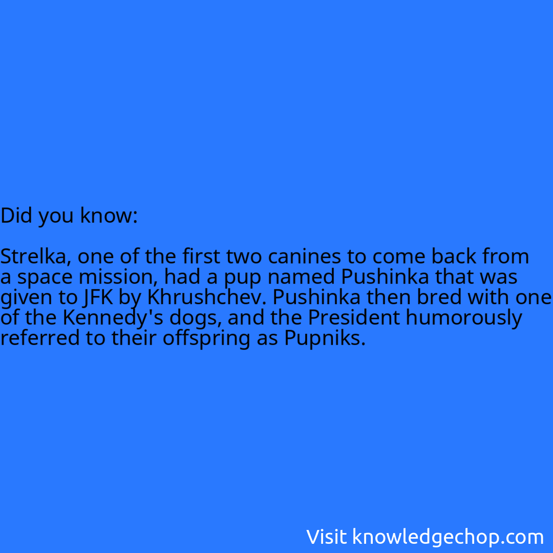   Strelka, one of the first two canines to come back from a space mission, had a pup named Pushinka that was given to JFK by Khrushchev. Pushinka then bred with one of the Kennedy's dogs, and the President humorously referred to their offspring as Pupniks.